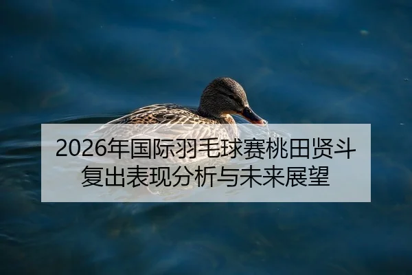 nian-guo-ji-yu-mao-qiu-sai-tao-tian-xian-dou-fu-chu-biao-xian-fen-xi-yu-wei-lai-zhan-wang-1-346.jpg