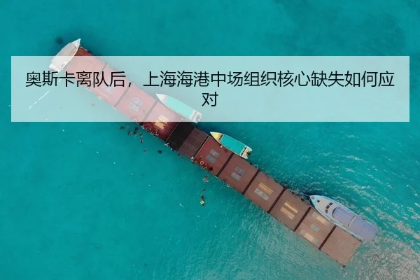 ao-si-ka-li-dui-hou-shang-hai-hai-gang-zhong-chang-zu-zhi-he-xin-que-shi-ru-he-ying-dui-3-325.jpg