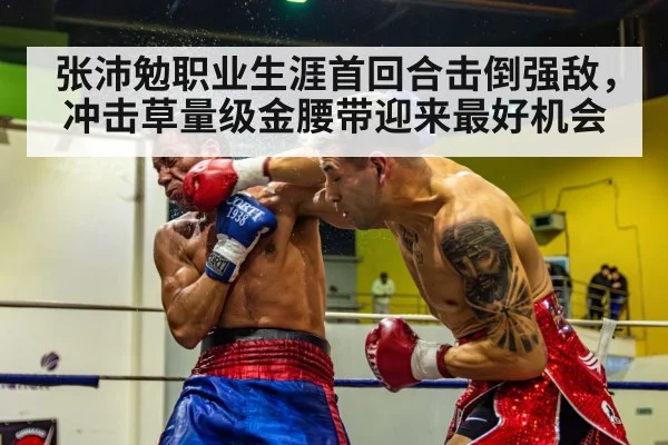 张沛勉职业生涯首回合击倒强敌，冲击草量级金腰带迎来最好机会